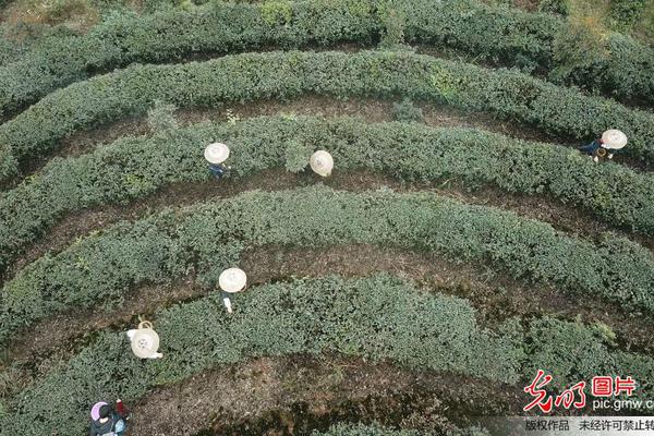 大號兩雙！霍姆格倫18中8拿下21分16籃板